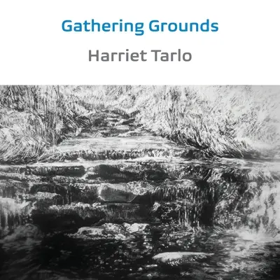 Terres de rassemblement : 2011-2019 - Gathering Grounds: 2011-2019