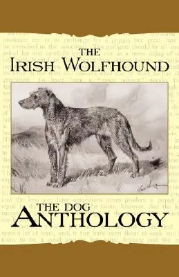 L'Irish Wolfhound - une anthologie canine (un classique des livres de chiens d'époque) - The Irish Wolfhound - A Dog Anthology (A Vintage Dog Books Breed Classic)