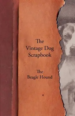 L'album du chien d'époque - Le chien Beagle - The Vintage Dog Scrapbook - The Beagle Hound