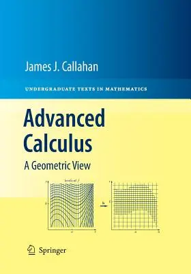 Calculs avancés : Une vue géométrique - Advanced Calculus: A Geometric View