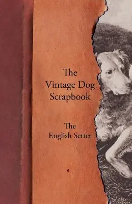 Vintage Dog Scrapbook - Le Setter Anglais - The Vintage Dog Scrapbook - The English Setter