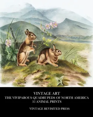Art Vintage : Les quadrupèdes vivipares de l'Amérique du Nord 35 estampes animales - Vintage Art: The Viviparous Quadrupeds of North America 35 Animal Prints