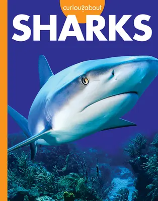 Curieux de requins - Curious about Sharks