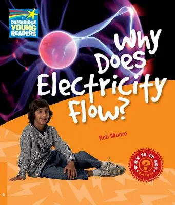 Pourquoi l'électricité circule-t-elle ? Niveau 6 Factbook - Why Does Electricity Flow? Level 6 Factbook