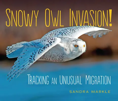 L'invasion du harfang des neiges : Sur les traces d'une migration inhabituelle - Snowy Owl Invasion!: Tracking an Unusual Migration