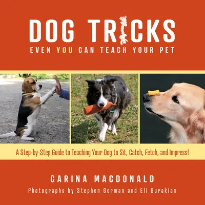 Dog Tricks Even You Can Teach Your Pet : Un guide pas à pas pour apprendre à votre animal à s'asseoir, à attraper, à aller chercher et à impressionner - Dog Tricks Even You Can Teach Your Pet: A Step-By-Step Guide to Teaching Your Pet to Sit, Catch, Fetch, and Impress