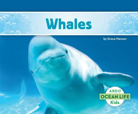 Baleines - Whales