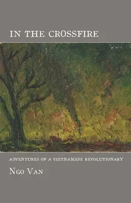 Dans le feu de l'action : Aventures d'un révolutionnaire vietnamien - In the Crossfire: Adventures of a Vietnamese Revolutionary