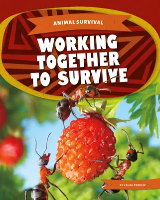 Travailler ensemble pour survivre - Working Together to Survive