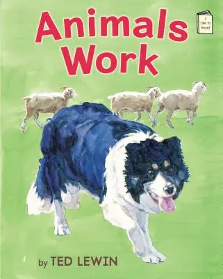 Le travail des animaux - Animals Work