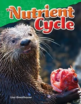 Le cycle des nutriments - The Nutrient Cycle