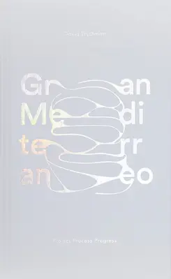 Gran Mediterraneo : Progrès du processus de projet - Gran Mediterraneo: Project Process Progress