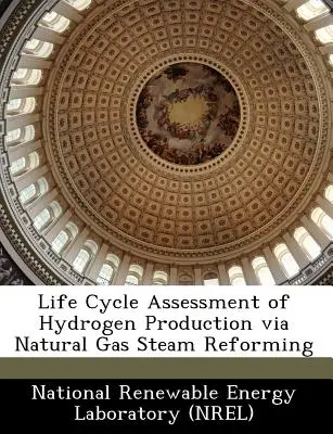 Analyse du cycle de vie de la production d'hydrogène par reformage à la vapeur du gaz naturel - Life Cycle Assessment of Hydrogen Production Via Natural Gas Steam Reforming
