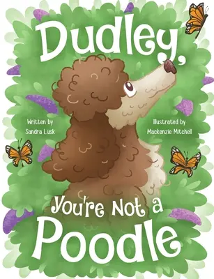 Dudley, tu n'es pas un caniche - Dudley, You're Not a Poodle