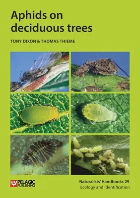 Les pucerons sur les arbres à feuilles caduques - Aphids on deciduous trees