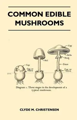 Champignons comestibles communs - Common Edible Mushrooms