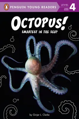 La pieuvre ! Le plus intelligent de la mer ? - Octopus!: Smartest in the Sea?