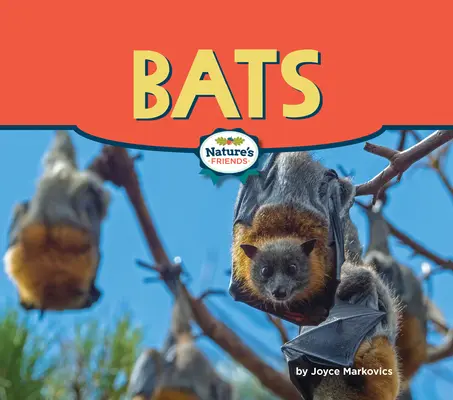 Chauves-souris - Bats