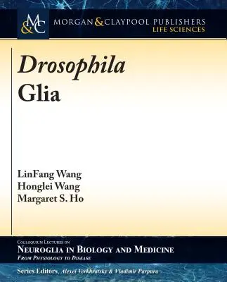 La glie de la drosophile - Drosophila Glia