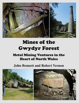 Les mines de la forêt de Gwydyr : Les entreprises d'extraction de métaux au cœur du nord du Pays de Galles - Mines of the Gwydyr Forest: Metal Mining Ventures in the Heart of North Wales