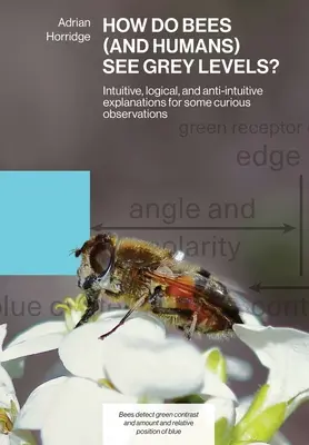 Comment les abeilles (et les humains) voient les niveaux de gris : explications intuitives, logiques et anti-intuitives de certaines observations curieuses. - How Do Bees (and Humans) See Grey Levels?: Intuitive, logical, and anti-intuitive explanations for some curious observations