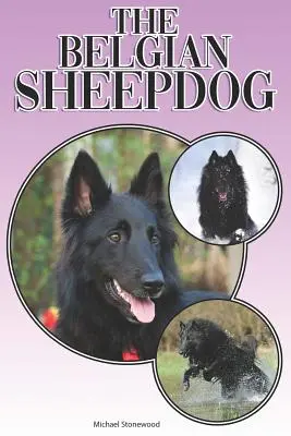 Le chien de berger belge : Un guide complet et détaillé pour les débutants : L'achat, la possession, la santé, le toilettage, le dressage, l'obéissance, la compréhension. - The Belgian Sheepdog: A Complete and Comprehensive Beginners Guide To: Buying, Owning, Health, Grooming, Training, Obedience, Understanding