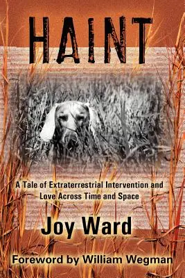 Haint : Une histoire d'intervention extraterrestre et d'amour à travers le temps et l'espace - Haint: A Tale of Extraterrestrial Intervention and Love Across Time and Space