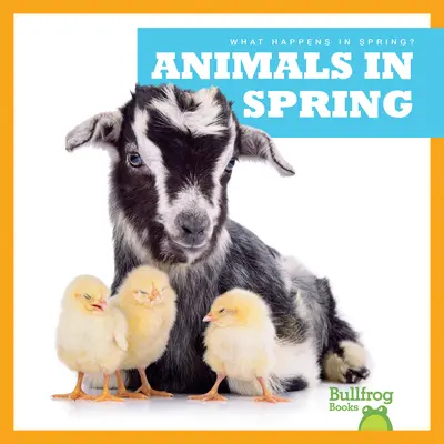 Animaux au printemps - Animals in Spring