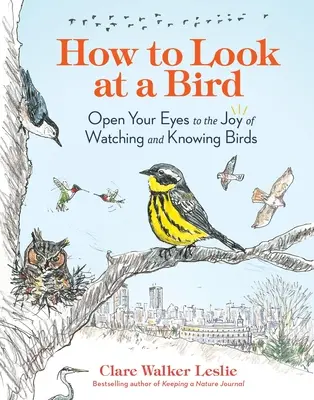 Comment regarder un oiseau : Ouvrez vos yeux à la joie d'observer et de connaître les oiseaux - How to Look at a Bird: Open Your Eyes to the Joy of Watching and Knowing Birds