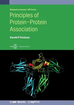 Principes de l'association protéine-protéine - Principles of Protein-Protein Association