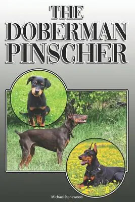 Le Doberman Pinscher : Un guide complet et exhaustif pour les propriétaires : L'achat, la possession, la santé, le toilettage, le dressage, l'obéissance, la compréhension et l'éducation du Doberman Pinscher. - The Doberman Pinscher: A Complete and Comprehensive Owners Guide To: Buying, Owning, Health, Grooming, Training, Obedience, Understanding and