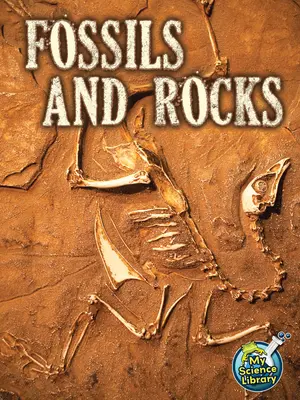 Fossiles et roches - Fossils and Rocks