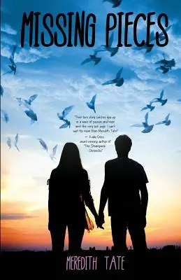 Pièces manquantes - Missing Pieces