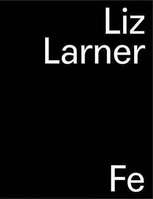 Liz Larner : Ne remettez pas les choses à leur place - Liz Larner: Don't Put It Back Like It Was