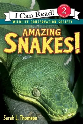 Des serpents étonnants ! - Amazing Snakes!