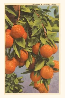 Journal d'époque Oranges, Floride - Vintage Journal Oranges, Florida