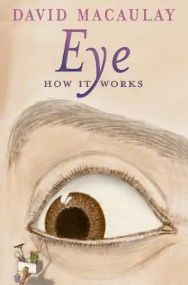 Œil : Comment ça marche - Eye: How It Works