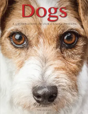 Chiens : une célébration de nos amis canins - Dogs: A Celebration of Our Canine Friends