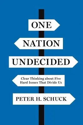 Une nation indécise : Une réflexion claire sur cinq questions difficiles qui nous divisent - One Nation Undecided: Clear Thinking about Five Hard Issues That Divide Us