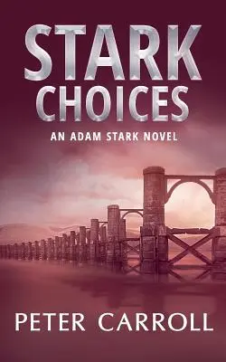 Stark Choices : Un roman d'Adam Stark - Stark Choices: An Adam Stark Novel