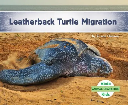 Migration de la tortue luth - Leatherback Turtle Migration