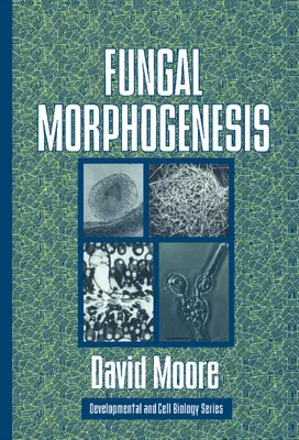 Morphogenèse fongique - Fungal Morphogenesis