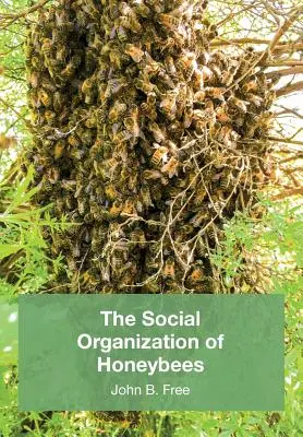 L'organisation sociale des abeilles - The Social Organisation of Honeybees