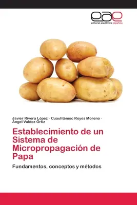 Mise en place d'un système de micropropagation de papa - Establecimiento de un Sistema de Micropropagacin de Papa