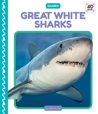 Grand requin blanc - Great White Sharks