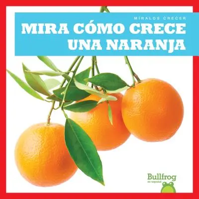 Mira Como Crece Una Naranja (Regardez pousser une orange) - Mira Como Crece Una Naranja (Watch an Orange Grow)