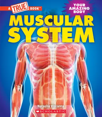 Système musculaire (un livre vrai : Votre corps étonnant) - Muscular System (a True Book: Your Amazing Body)