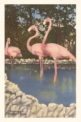 Journal d'époque Flamands, Floride - Vintage Journal Flamingos, Florida
