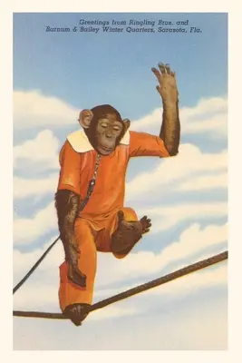 Journal d'époque Chimpanzé, Sarasota, Floride - Vintage Journal Chimpanzee, Sarasota, Florida