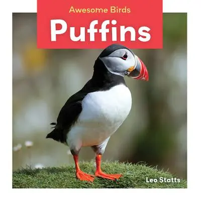 Macareux - Puffins